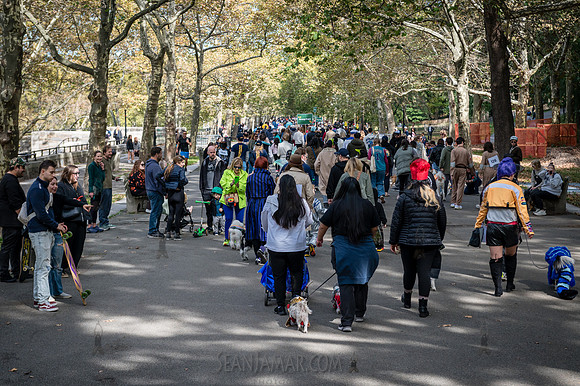 Riverside Park Conservancy - Halloween Pup Parade - Riverside Pa