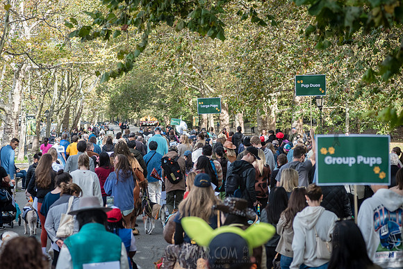 Riverside Park Conservancy - Halloween Pup Parade - Riverside Pa