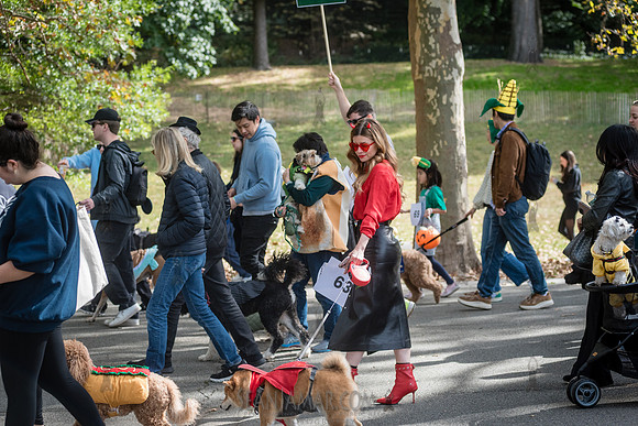 Riverside Park Conservancy - Halloween Pup Parade - Riverside Pa