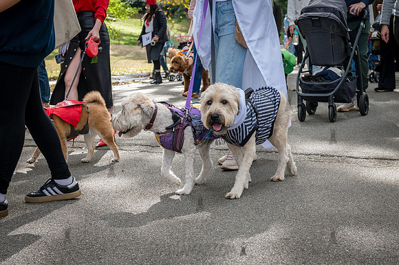 Riverside Park Conservancy - Halloween Pup Parade - Riverside Pa
