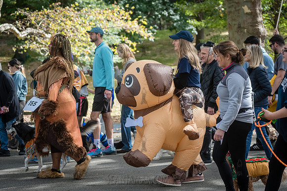Riverside Park Conservancy - Halloween Pup Parade - Riverside Pa