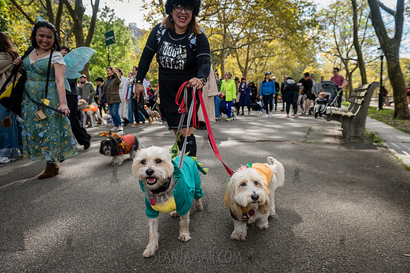 Riverside Park Conservancy - Halloween Pup Parade - Riverside Pa