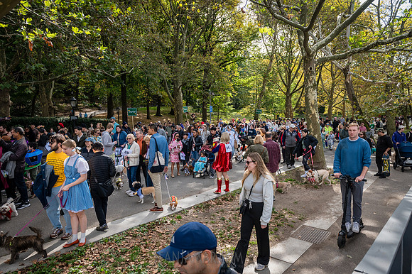 Riverside Park Conservancy - Halloween Pup Parade - Riverside Pa