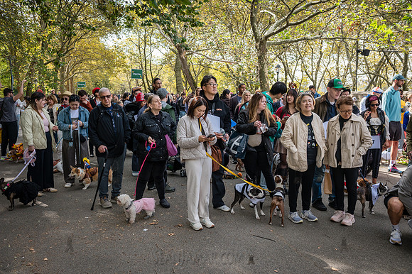 Riverside Park Conservancy - Halloween Pup Parade - Riverside Pa