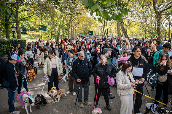 Riverside Park Conservancy - Halloween Pup Parade - Riverside Pa