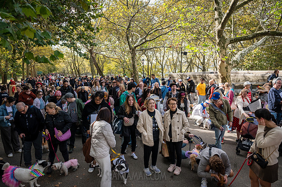 Riverside Park Conservancy - Halloween Pup Parade - Riverside Pa