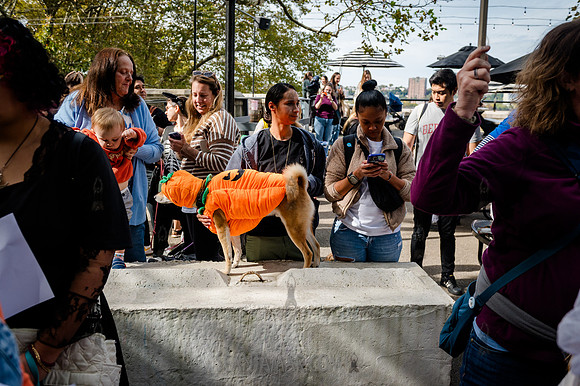 Riverside Park Conservancy - Halloween Pup Parade - Riverside Pa