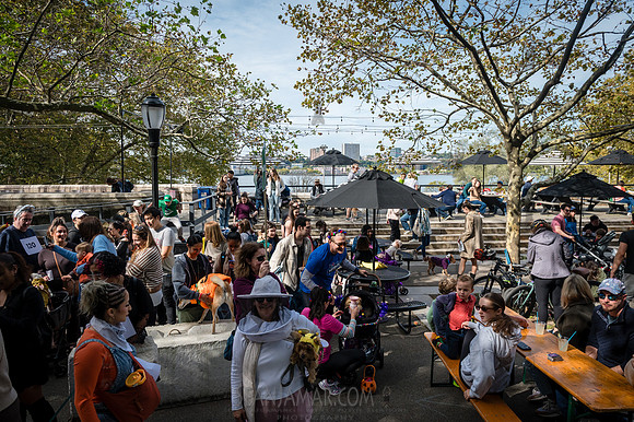 Riverside Park Conservancy - Halloween Pup Parade - Riverside Pa