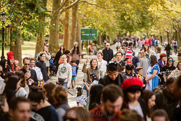 Riverside Park Conservancy - Halloween Pup Parade - Riverside Pa