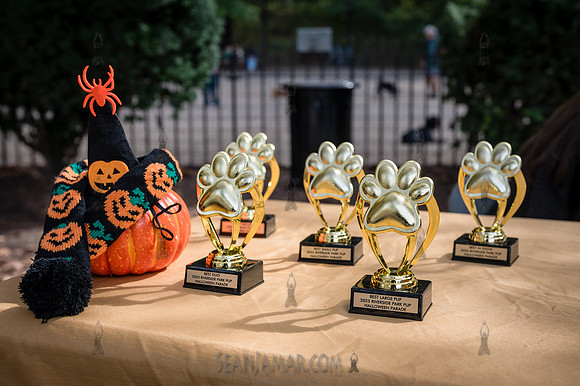 Riverside Park Conservancy - Halloween Pup Parade - Riverside Pa