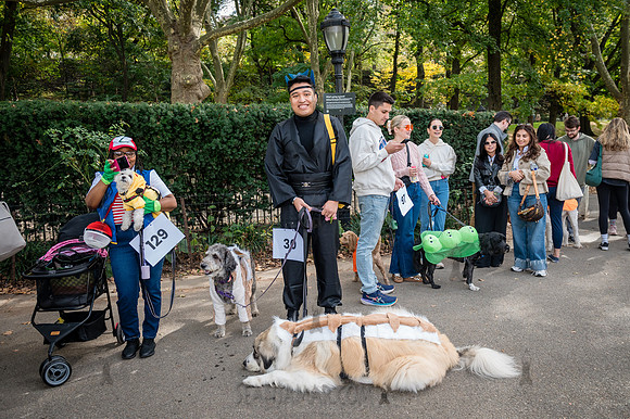 Riverside Park Conservancy - Halloween Pup Parade - Riverside Pa