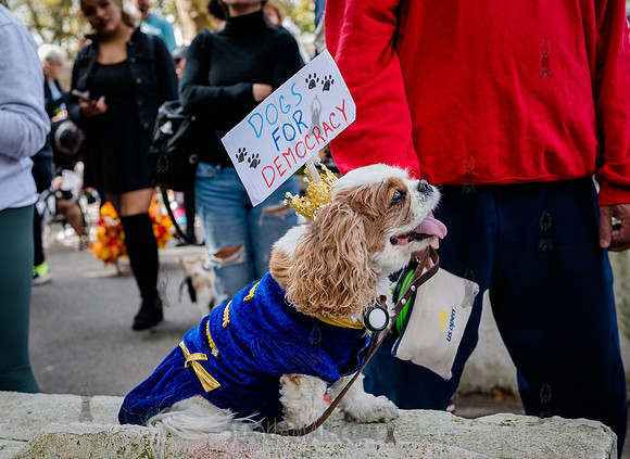 Riverside Park Conservancy - Halloween Pup Parade - Riverside Pa