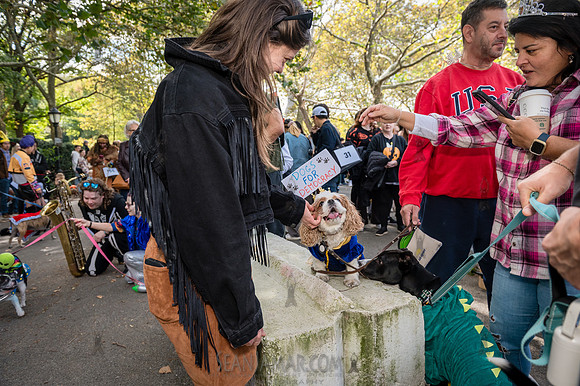 Riverside Park Conservancy - Halloween Pup Parade - Riverside Pa