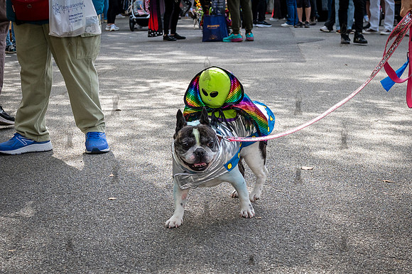 Riverside Park Conservancy - Halloween Pup Parade - Riverside Pa