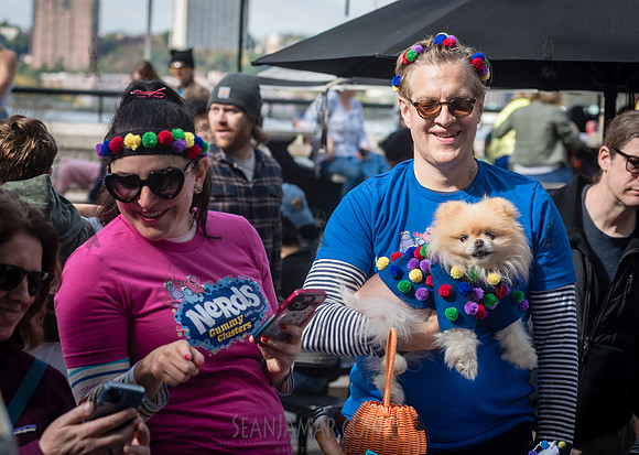 Riverside Park Conservancy - Halloween Pup Parade - Riverside Pa