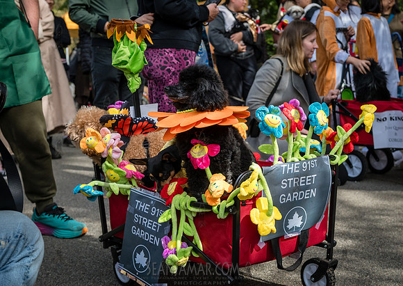 Riverside Park Conservancy - Halloween Pup Parade - Riverside Pa
