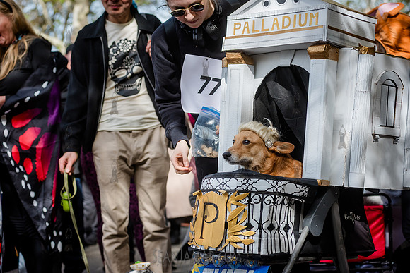 Riverside Park Conservancy - Halloween Pup Parade - Riverside Pa