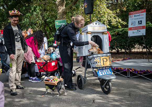 Riverside Park Conservancy - Halloween Pup Parade - Riverside Pa