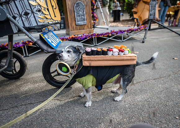 Riverside Park Conservancy - Halloween Pup Parade - Riverside Pa