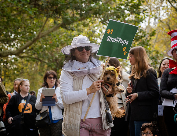 Riverside Park Conservancy - Halloween Pup Parade - Riverside Pa