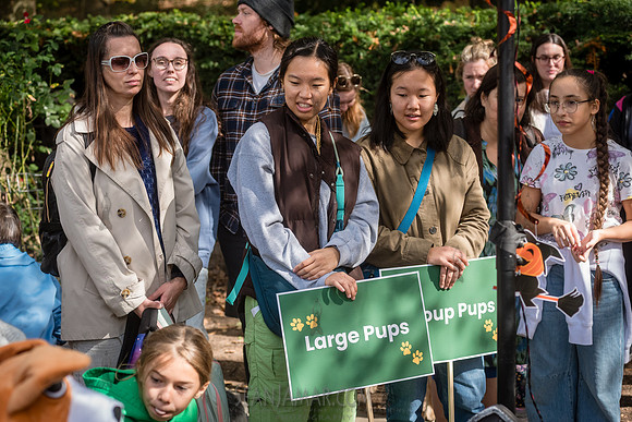 Riverside Park Conservancy - Halloween Pup Parade - Riverside Pa