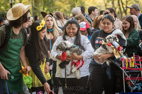 Riverside Park Conservancy - Halloween Pup Parade - Riverside Pa