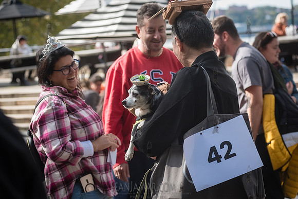 Riverside Park Conservancy - Halloween Pup Parade - Riverside Pa