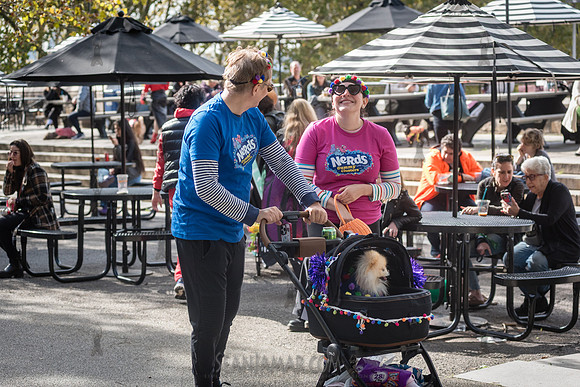 Riverside Park Conservancy - Halloween Pup Parade - Riverside Pa
