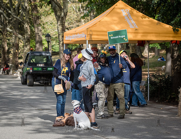 Riverside Park Conservancy - Halloween Pup Parade - Riverside Pa