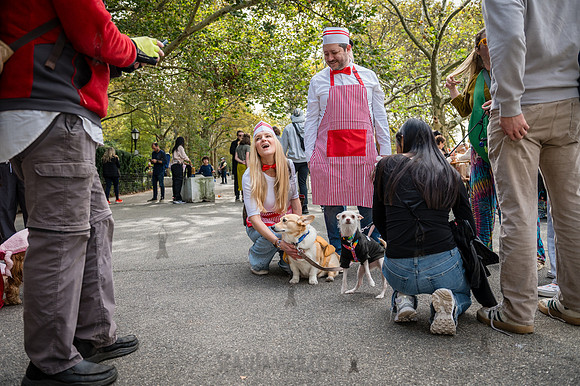 Riverside Park Conservancy - Halloween Pup Parade - Riverside Pa