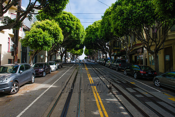 Adventure Day - San Francisco CA - 2017