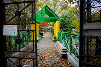 CPF Learn - Learning Gardens - Grove Hill Community Garden - NYC