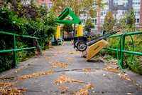 CPF Learn - Learning Gardens - Grove Hill Community Garden - NYC