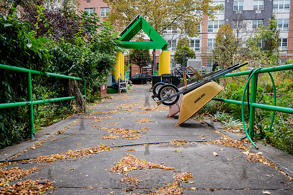 CPF Learn - Learning Gardens - Grove Hill Community Garden - NYC