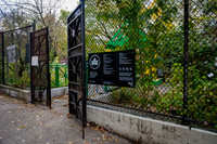 CPF Learn - Learning Gardens - Grove Hill Community Garden - NYC