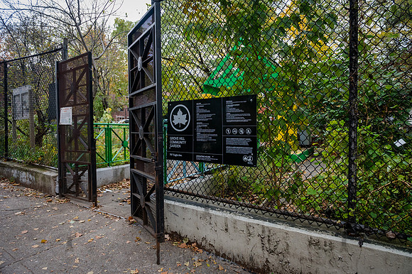 CPF Learn - Learning Gardens - Grove Hill Community Garden - NYC