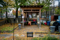CPF Learn - Learning Gardens - Grove Hill Community Garden - NYC