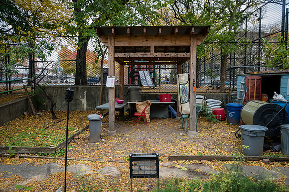 CPF Learn - Learning Gardens - Grove Hill Community Garden - NYC