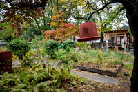 CPF Learn - Learning Gardens - Grove Hill Community Garden - NYC