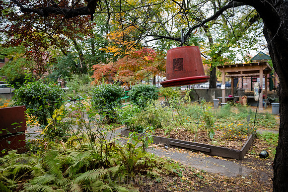 CPF Learn - Learning Gardens - Grove Hill Community Garden - NYC