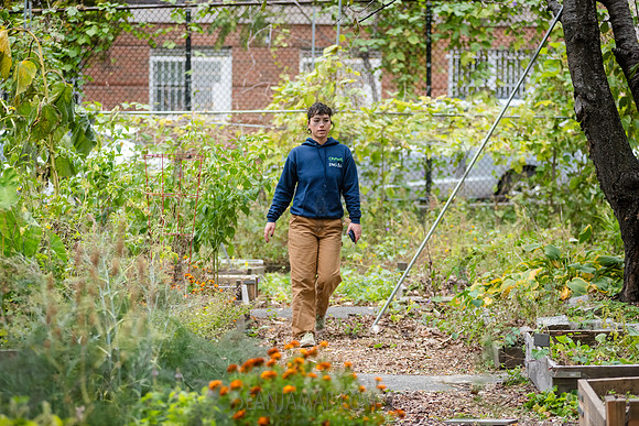 CPF Learn - Learning Gardens - Grove Hill Community Garden - NYC