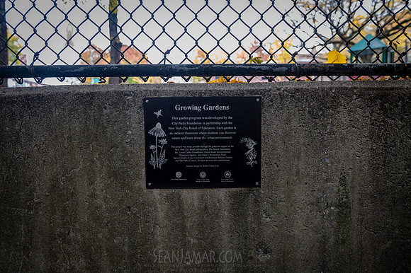 CPF Learn - Learning Gardens - Grove Hill Community Garden - NYC