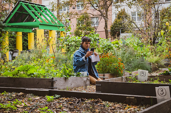 CPF Learn - Learning Gardens - Grove Hill Community Garden - NYC