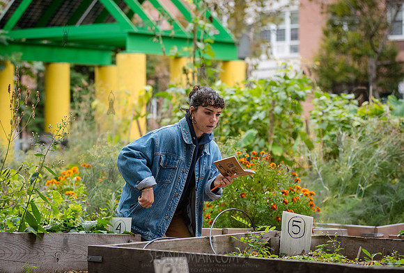 CPF Learn - Learning Gardens - Grove Hill Community Garden - NYC
