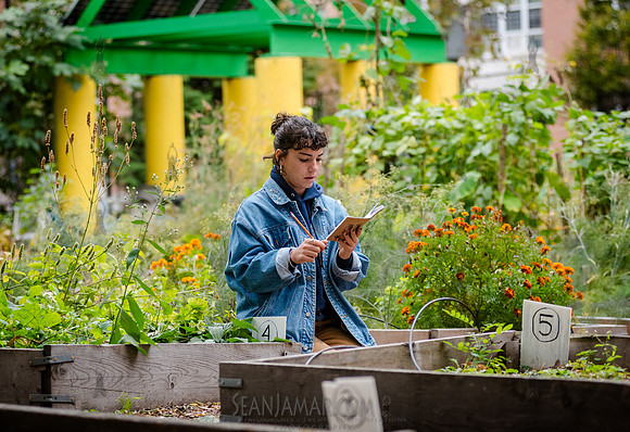 CPF Learn - Learning Gardens - Grove Hill Community Garden - NYC