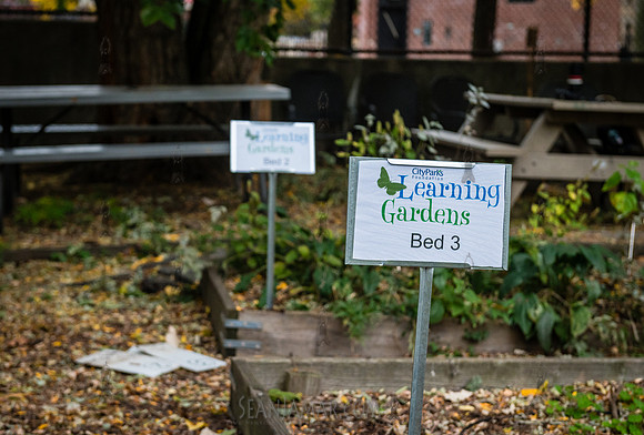 CPF Learn - Learning Gardens - Grove Hill Community Garden - NYC