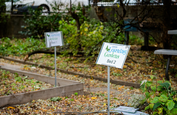 CPF Learn - Learning Gardens - Grove Hill Community Garden - NYC