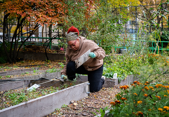 CPF Learn - Learning Gardens - Grove Hill Community Garden - NYC