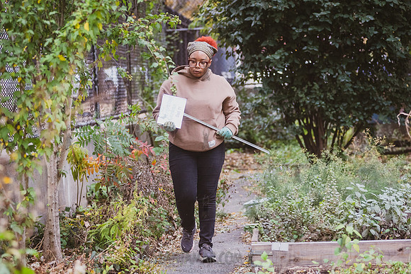 CPF Learn - Learning Gardens - Grove Hill Community Garden - NYC