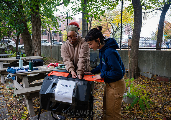 CPF Learn - Learning Gardens - Grove Hill Community Garden - NYC